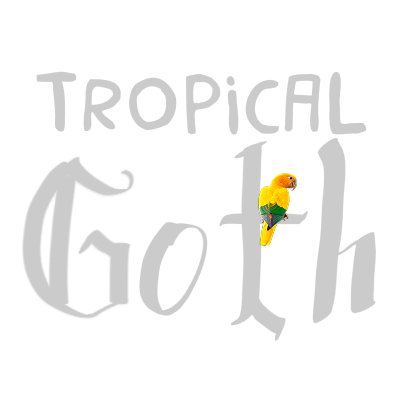 Gothicus brasiliensis
